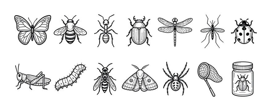 Set of hand drawn insect and bug illustrations in a simple black and white line art doodle style, featuring a butterfly, bee, ant, beetle, dragonfly, spider, and a collecting jar