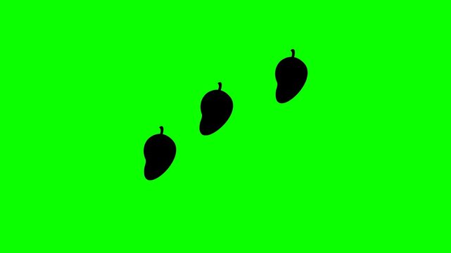 Three Mango Silhouettes on Green Screen Background