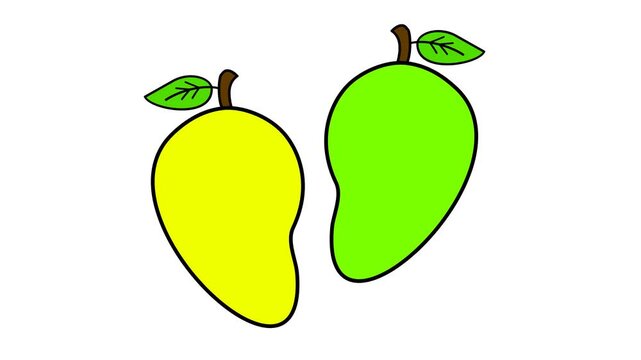 Simple Mango Illustration with Yellow and Green Fruits