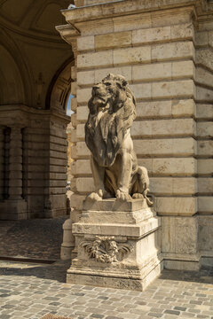 Stone lions guarding the main gate of Buda Castle in Budapest, Hungary