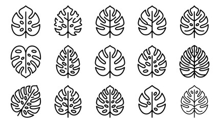 Black line monstera leaf icons in various styles. © Win