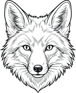 Stylized hand drawn artistic portrait of a fox head with wildlife, portrait