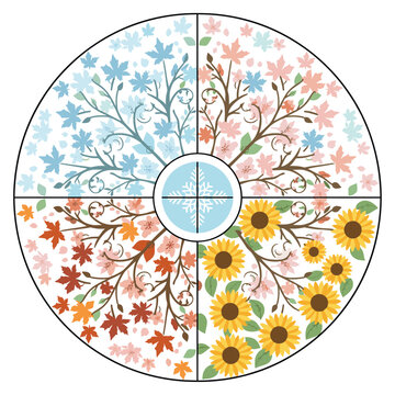 Circular diagram showcasing the cycle of four seasons with distinct branches for winter, spring, summer, and autumn.