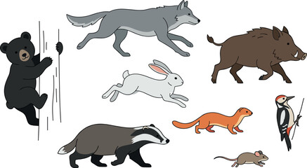 Woodland Wildlife Vector Collection Featuring Running Wolf Wild Boar Leaping Hare Climbing Bear Cub Badger Weasel Woodpecker and Mouse for Nature Education Illustrations © MDSojib