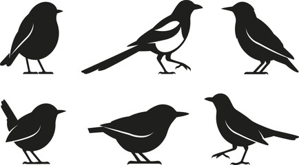 Fototapeta premium Set of six black bird silhouette illustrations showing diverse species shapes, postures, and flight styles for identification, artistic design, and creative graphic projects