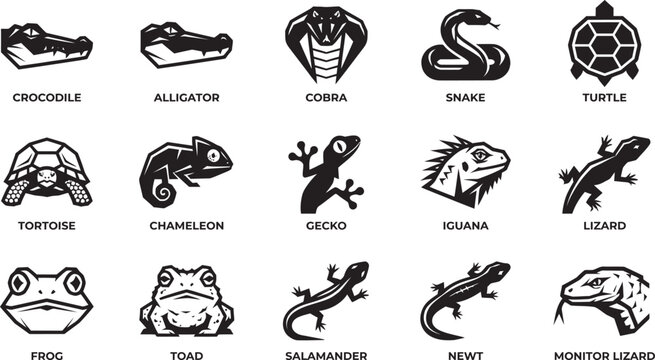 Set of black and white hand drawn reptile and amphibian icons featuring snakes turtles lizards frogs and other wild creatures