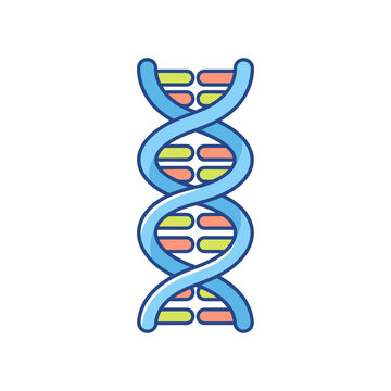 Colorful dna strand illustration for science education labrotary research projects featuring a detailed helical structure design element