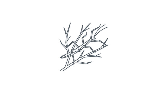 Stick Insect Outline Vector Illustration