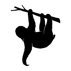 Black silhouette of a sloth hanging from a tree branch, isolated on a white background, for jungle and wildlife themes © MST RAMIJA