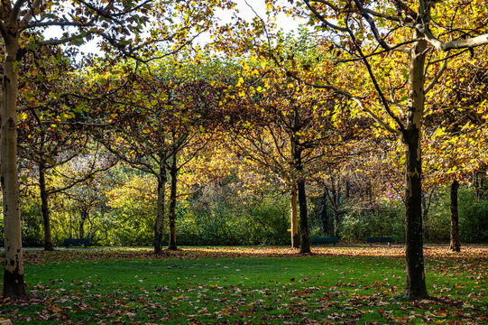 Walking in Hofgarten Park in Munich on an autumn day, Germany