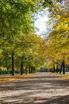Walking in Hofgarten Park in Munich on an autumn day, Germany