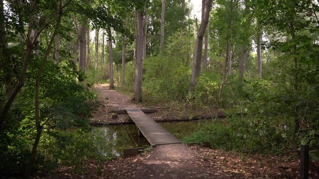 A simple wooden footbridge crossing a small water canal inside a lush forest in Hoge Bergse Bos park, Rotterdam, late in the afternoon in early autumn.