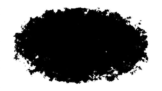 Black watercolor ink drops falling on a paper slowly spread out. Ink drops concept animation. White ink stain spreading in water. 4k animation.