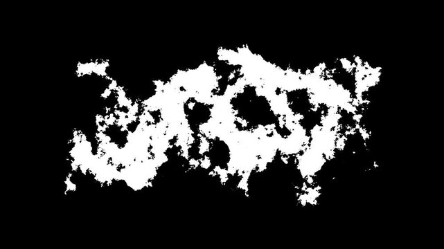 abstract Paint brush transition Fast Abstract stroke black and white background, animation of paint splash. Brush stroke black and white transition background