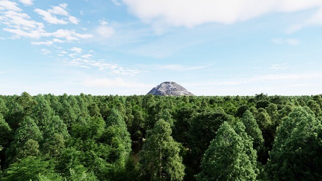 4K aerial forest landscape featuring lush green treetops and scenic natural views, ideal for nature, wilderness, environmental, travel, and outdoor content.