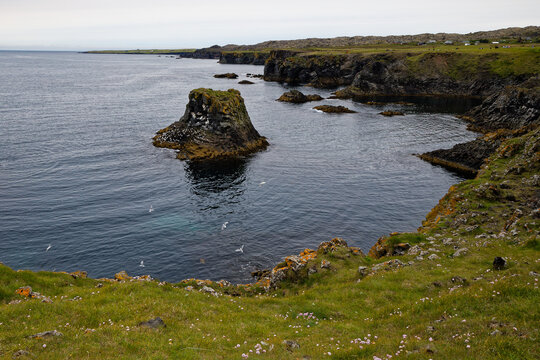 Dramatic Sea Stacks and Volcanic Cliffs of Arnarstapi Iceland
