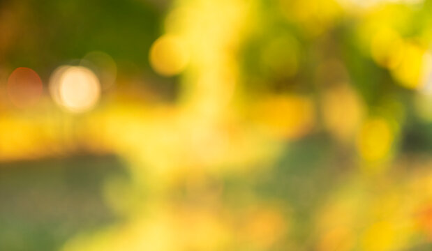 Blurred bokeh autumn background. Defocused bokeh backdrop. Blur backdrop. Abstract fall background with nobody. Defocused blur bokeh color. Autumn or fall color background. Fall weather vibe