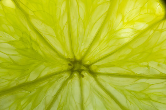 Macro Close-up of Fresh Lime Pulp Texture,Close-up macro shot of a fresh green lime slice, showing detailed internal pulp segments, juice vesicles, and natural citrus textures.
