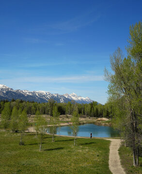 View of the Grand Tetons from R Park in Jackson Hole, Wyoming