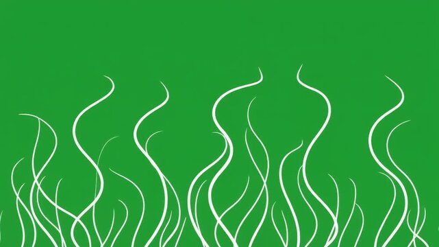 Morphing Isolines Green Screen Animation