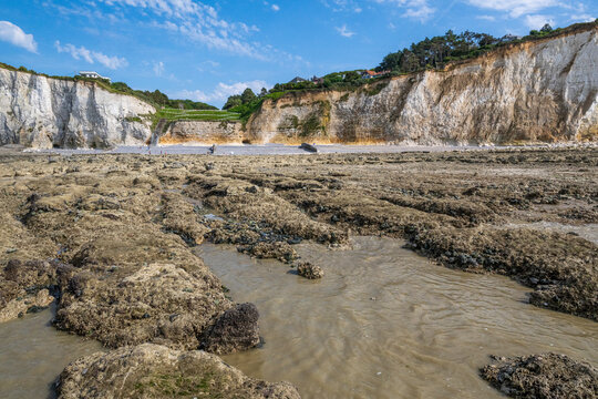 Les falaises de la c&ocirc;te picarde