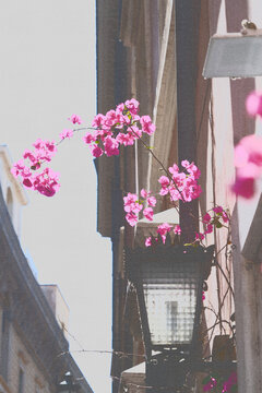 half tone vintage print of street in rome pink flowers in the street