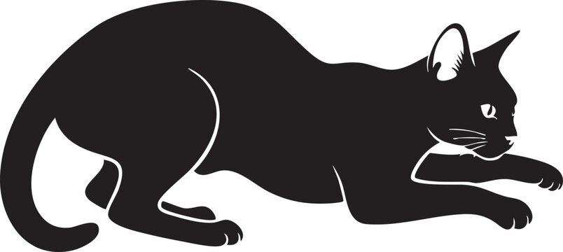 Pouncing black cat silhouette in ready position with silhouette