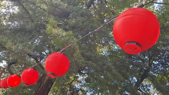 Red traditional Chinese lanterns hanging on a string between green tree branches in a sunny outdoor park.