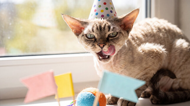 A Devon Rex cat wearing a party hat licks its mouth over toys and blank flags with a bright blurred window behind for International Cat Day marketing content