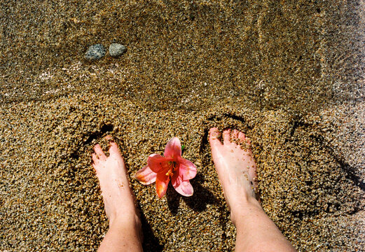 Two bare feet on the seashore with a lily flower