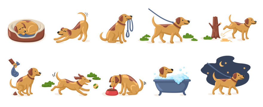 Cute dog daily routine colored icons set vector illustration