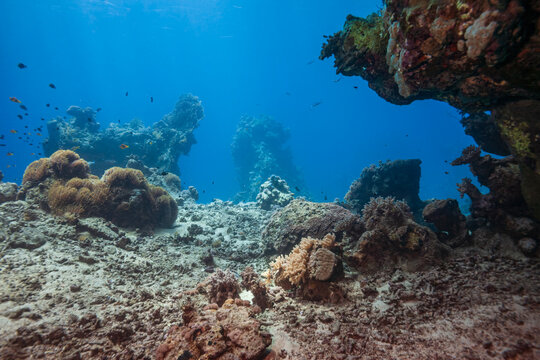 Beautiful tropical coral reef landscape with pinnacles in blue ocean water
