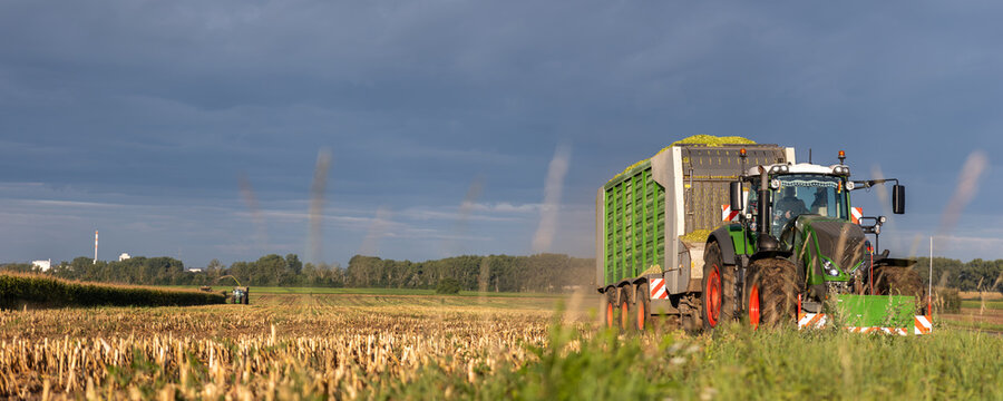Scenic view tractor with trailer drives through harvested cornfield dramatic overcast sky raising dust in warm light. Rural farmland extends into horizon with golden stubble and green crops