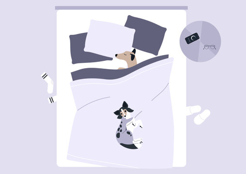 Two adorable dogs lie affectionately in bed, wrapped in a soft blanket with pillows around them, enjoying a peaceful and cozy moment together in a calm home atmosphere