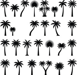 Fototapeta premium Black and white palm leaf pattern on white background, seamless