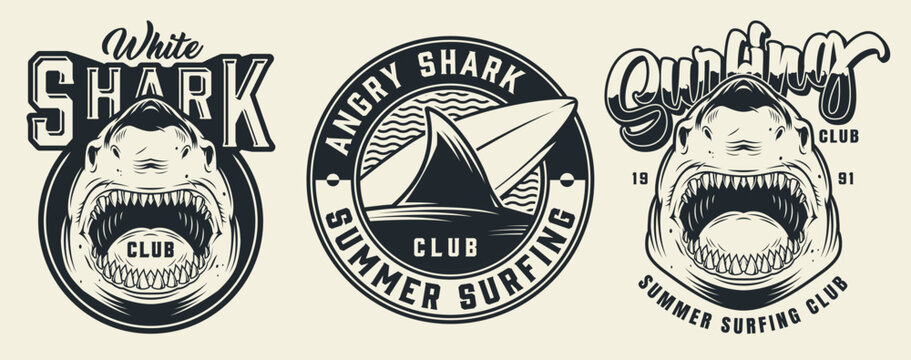 Shark club surfing logo design