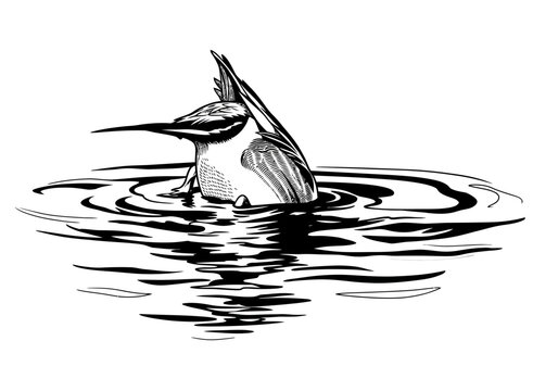 Vector illustration of a duck diving headfirst, showing its tail and feet above water surface