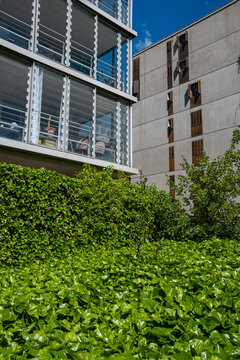 Beside dense groundcover in La Confluence, concrete housing overlooks a garden as balconies and timber shutters shape the facade in Lyon, France