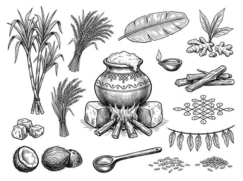 Pongal festival clay pot cooking over fire, harvest elements set, black ink sketch