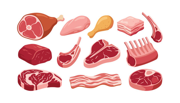 Raw meat cuts set with beef steaks t bone bacon pork ribs ham and chicken vector illustration