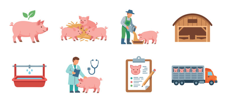 Pig farming industry and animal husbandry practices illustrated through a comprehensive icon set depicting care, feeding, health, and transport.