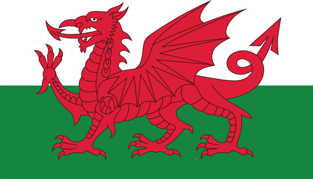 Red welsh dragon symbol on green and white vector illustration