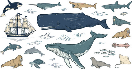 Vintage Ocean Sea Life Vector Element Set with Blue Whale, Shark, Sailing Ship, Dolphin, and Marine Animals for Nautical Educational Graphic Designs © monoara