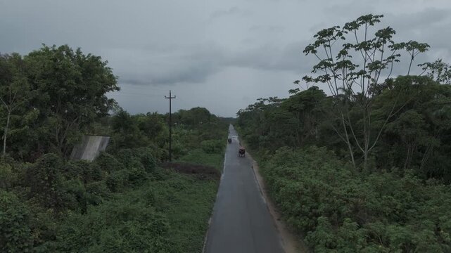 carretera en medio de la selva