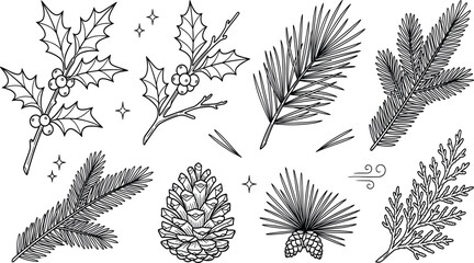 Christmas winter plants line art vector set with holly berry pine cone evergreen branches for holiday coloring pages © Md