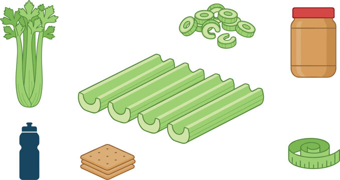 Diet food icon collection with raw celery stalks peanut butter snack crackers fitness water bottle and weight loss measuring tape vector isolated