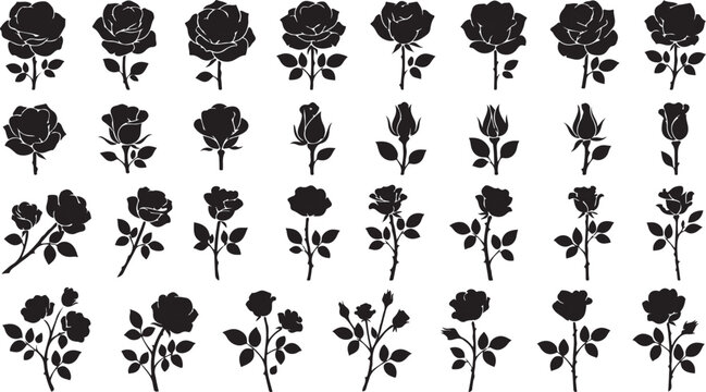 Rose Flower Silhouette Set - Black Vector Icon Collection