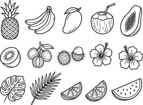 Collection of tropical fruit and floral vector illustrations on transparent background pineapple bananas mango coconut