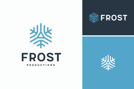 Several Lines with Triangle in the middle like a Snowflake in Hexagon Shape logo design