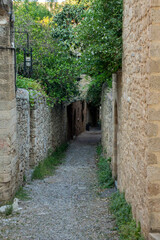 Obraz premium Narrow stone path between old buildings with greenery in an urban setting during daylight hours